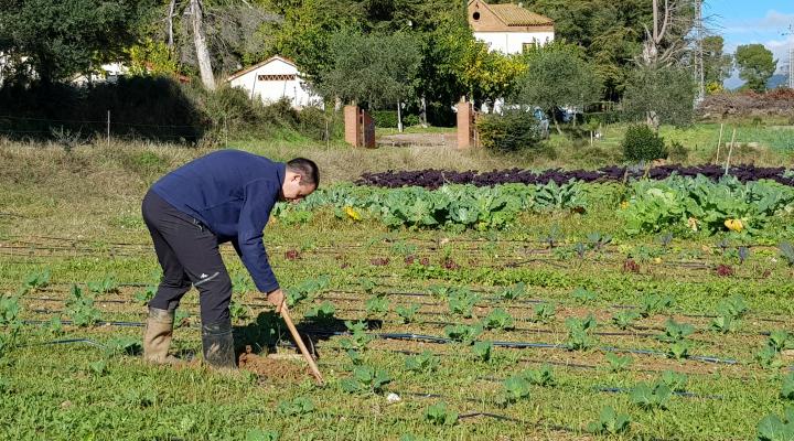 Apresentados 10 projetos para o setor agroalimentar catalão