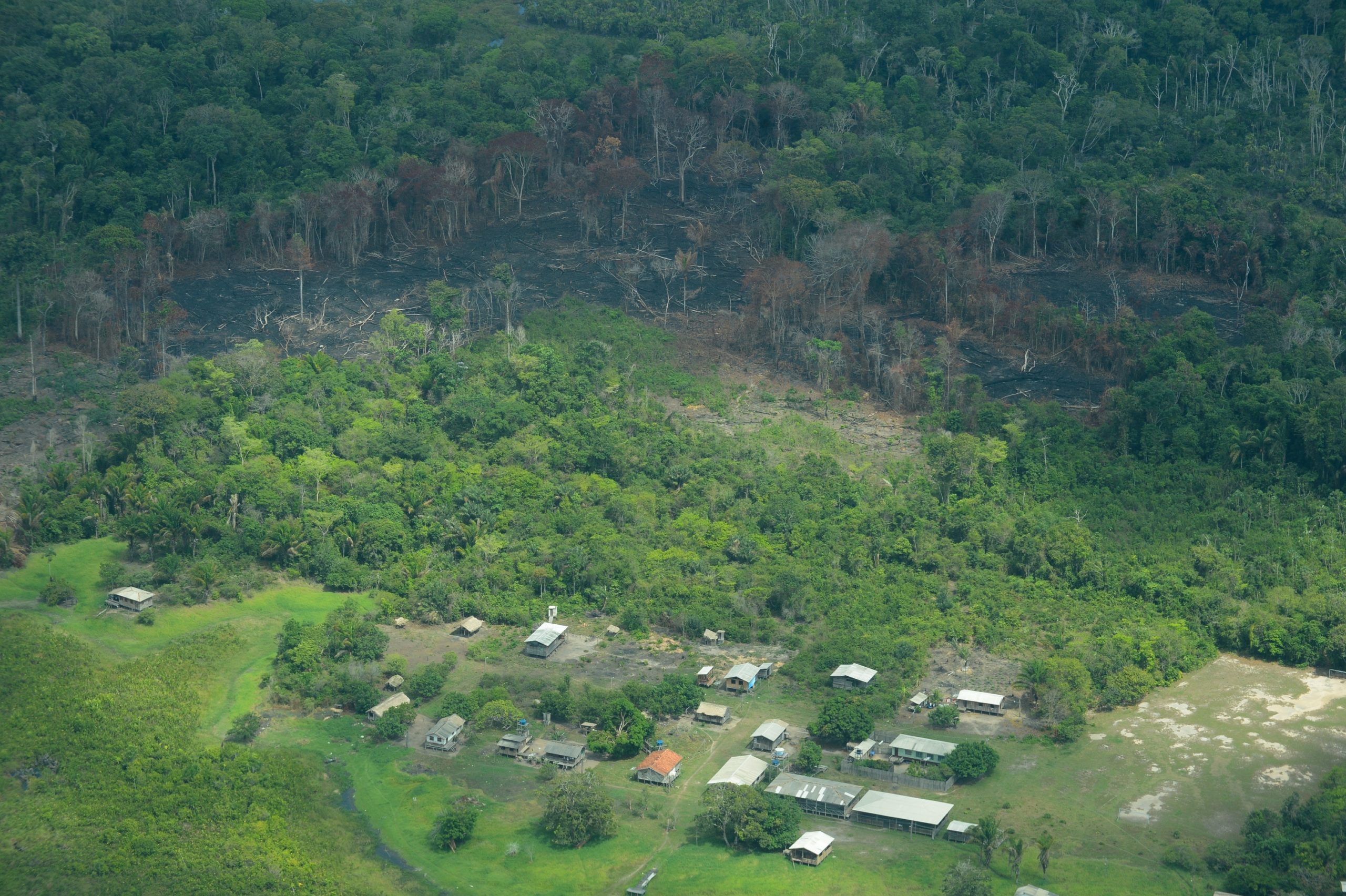 Desmatamento na Amazônia tem queda de 28% em julho