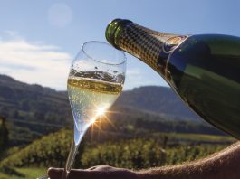 Carta aos leitores do Aqui Catalunha: por um 2022 ainda mais triunfante