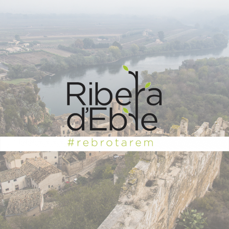 Primeiros rebrotamentos após incêndio florestal na Catalunha