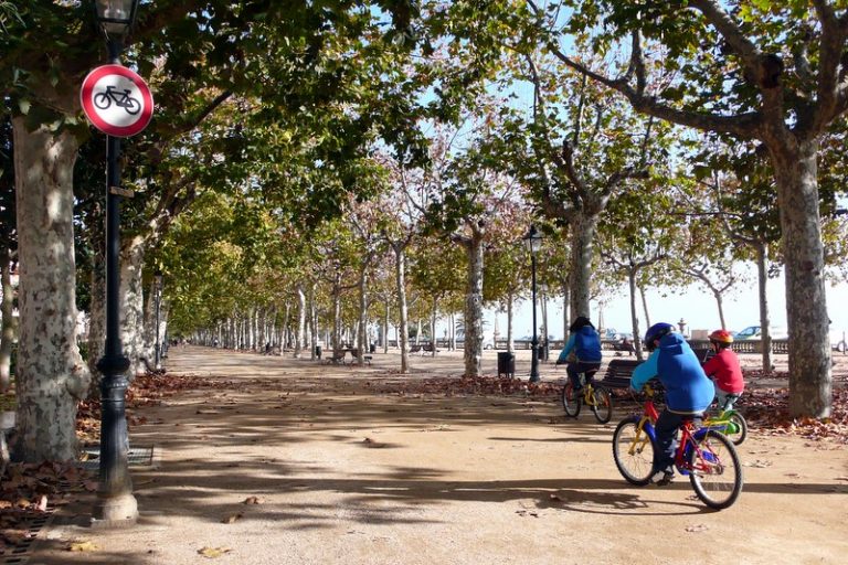 "Vamos de bicicleta para a escola", projeto criado em Alcanar